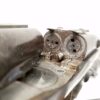 Antique No FFL Shotguns Antique 1800's None Required Dreyse Germany